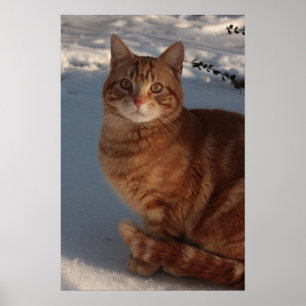 Keeping Warm Poster