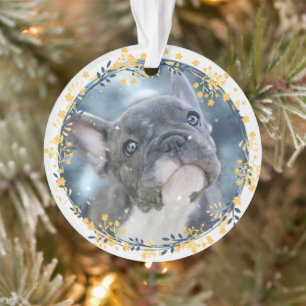 Keepsake Baby's or Pet's First Hanukkah Photo Ornament