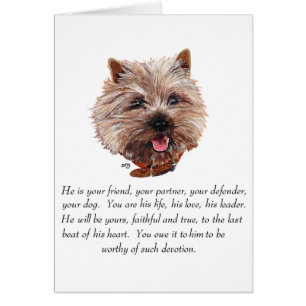 Keepsake Cairn Terrier - Male