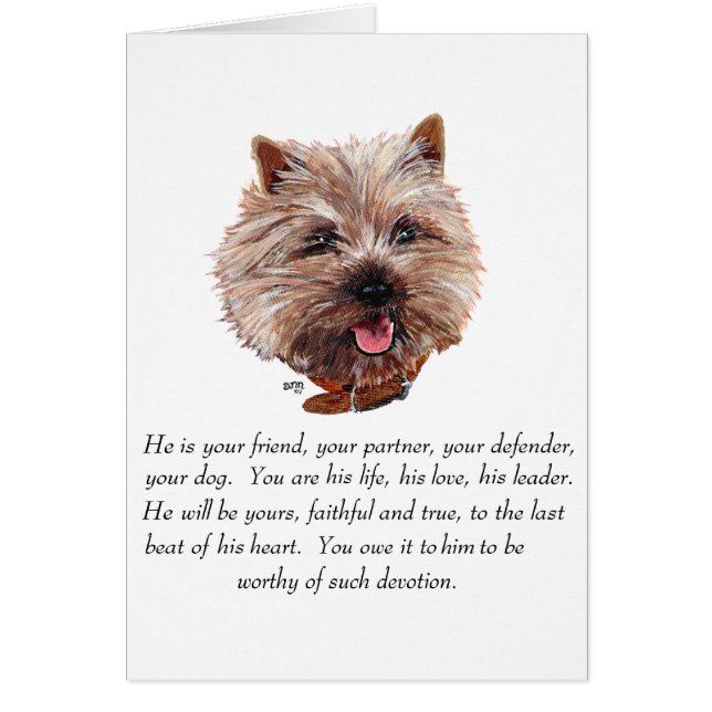 Keepsake Cairn Terrier - Male (Front)