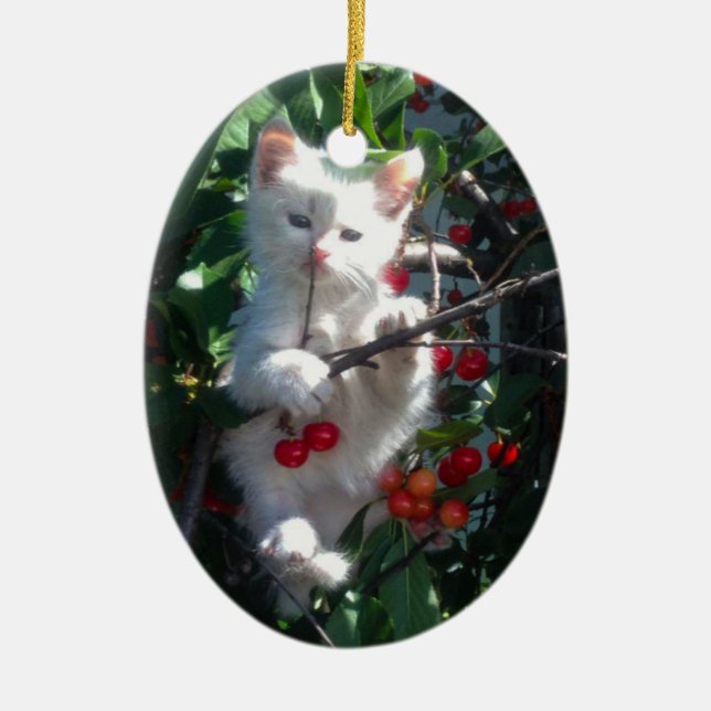 Keepsake Family Cat 1 Sided Photo Ceramic Tree Decoration (Front)