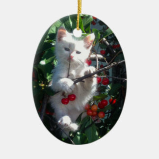 Keepsake Family Cat 2 Sided Photo Ceramic Tree Decoration