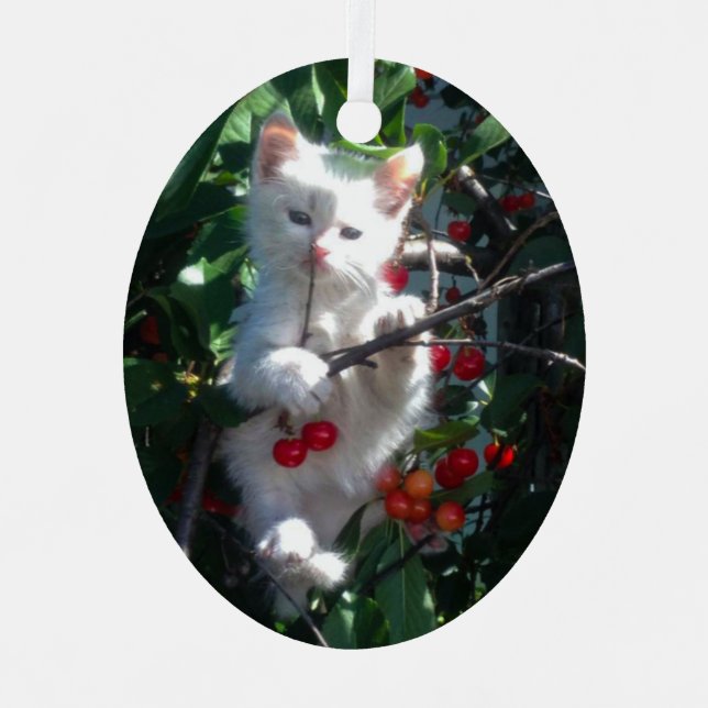 Keepsake Family Cat Photo Metal Tree Decoration (Front)