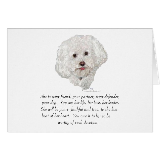 Keepsake, Female Dog (Front Horizontal)