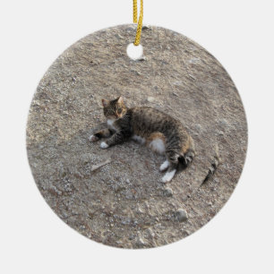 Keepsake Ornament: Tabby Cat with White Feet Ceramic Tree Decoration