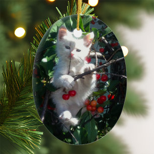 Keepsake Photo Ceramic Tree Decoration