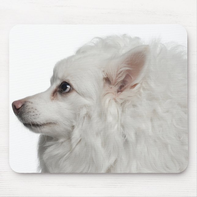 Keeshond (10 years old) close-up mouse mat (Front)