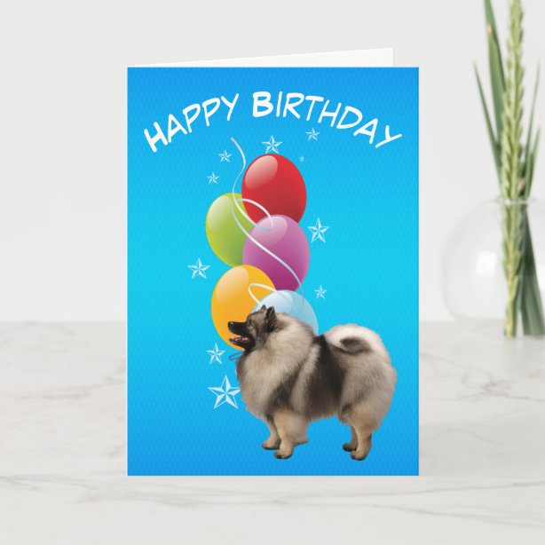 Keeshond Cards | Zazzle UK