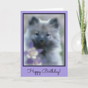 Keeshond and Columbine  - Dog Photograph Card