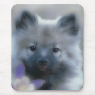 Keeshond and Columbine  - Dog Photograph Mouse Mat