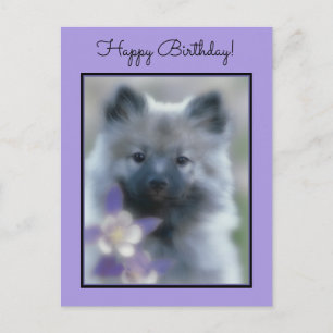 Keeshond and Columbine - Dog Photograph Postcard