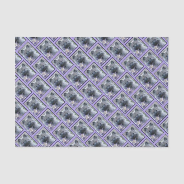 Keeshond and Columbine  - Dog Photograph Tissue Paper (Front)