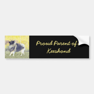 Keeshond Aspen Painting - Cute Original Dog Art Bumper Sticker