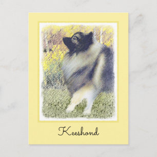 Keeshond Aspen Painting - Cute Original Dog Art Postcard