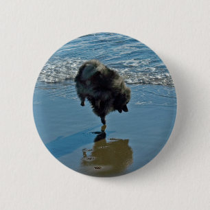 Keeshond Ballet Photograph - Cute Original Dog Art 6 Cm Round Badge