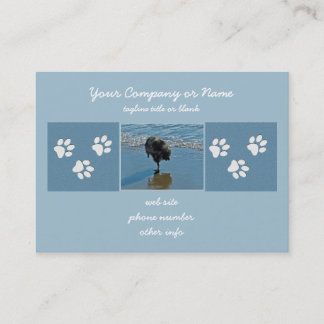 Keeshond Ballet Photograph - Cute Original Dog Art Business Card