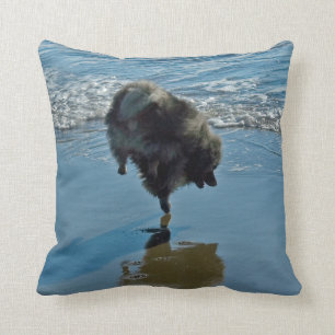 Keeshond Ballet Photograph - Cute Original Dog Art Cushion