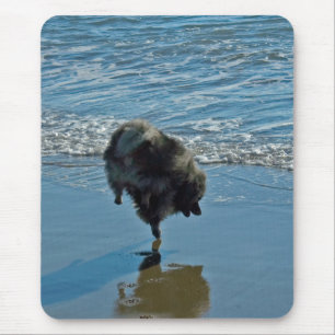 Keeshond Ballet Photograph - Cute Original Dog Art Mouse Mat