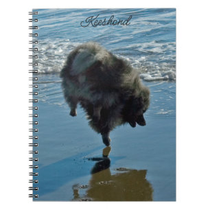 Keeshond Ballet Photograph - Cute Original Dog Art Notebook