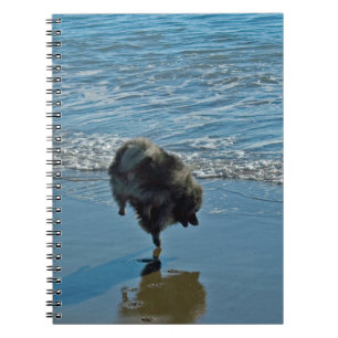 Keeshond Ballet Photograph - Cute Original Dog Art Notebook