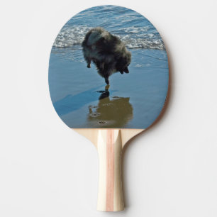 Keeshond Ballet Photograph - Cute Original Dog Art Ping Pong Paddle