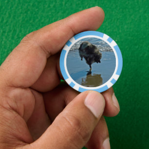 Keeshond Ballet Photograph - Cute Original Dog Art Poker Chips
