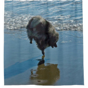 Keeshond Ballet Photograph - Cute Original Dog Art Shower Curtain
