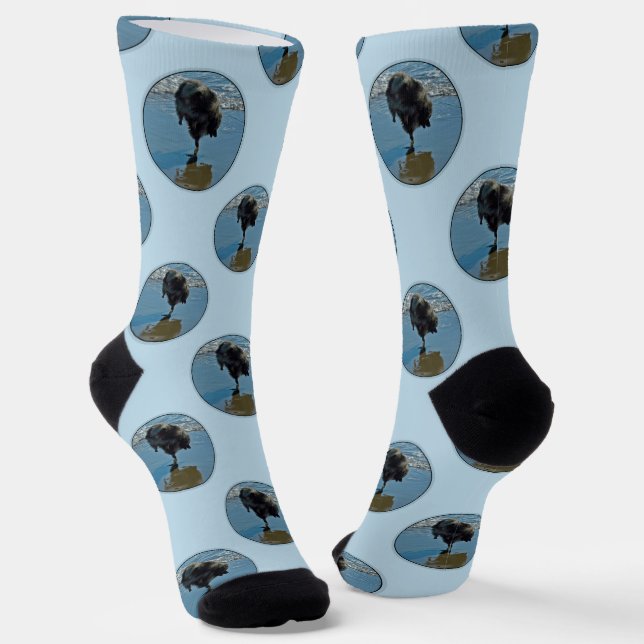Keeshond Ballet Photograph Cute Original Dog Art Socks (Angled)