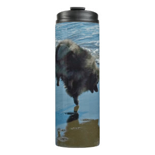 Keeshond Ballet Photograph - Cute Original Dog Art Thermal Tumbler