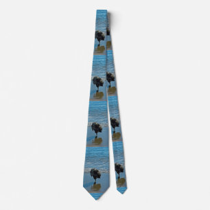 Keeshond Ballet Photograph - Cute Original Dog Art Tie