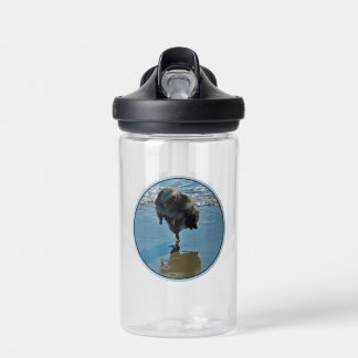 Keeshond Ballet Photograph - Cute Original Dog Art Water Bottle