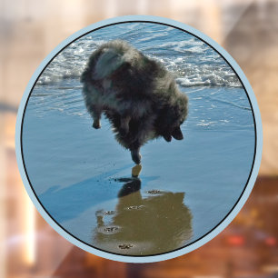 Keeshond Ballet Photograph - Cute Original Dog Art Window Cling