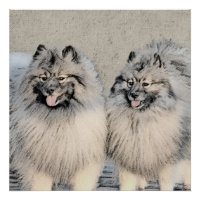 Keeshond Brothers Painting - Original Dog Art