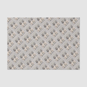 Keeshond Brothers Painting - Original Dog Art Tissue Paper