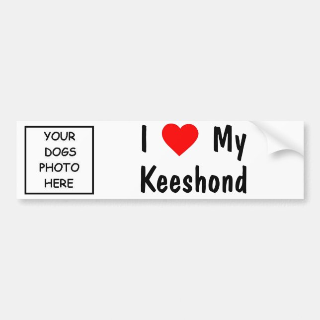 Keeshond Bumper Sticker (Front)