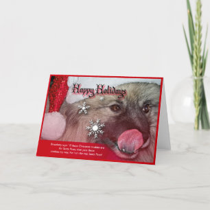 keeshond christmas cards