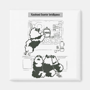 Keeshond Counter Intelligence Magnet