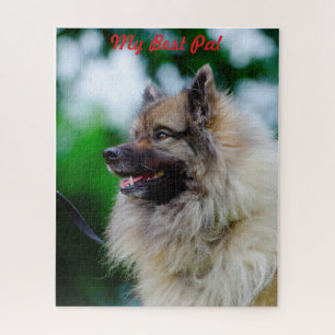 Keeshond Dog. Jigsaw Puzzle