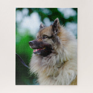 Keeshond Dog. Jigsaw Puzzle