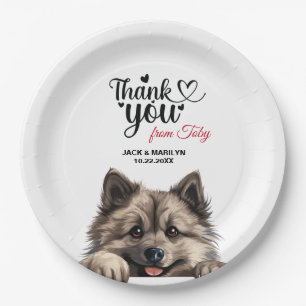 Keeshond Dog Paper Plate