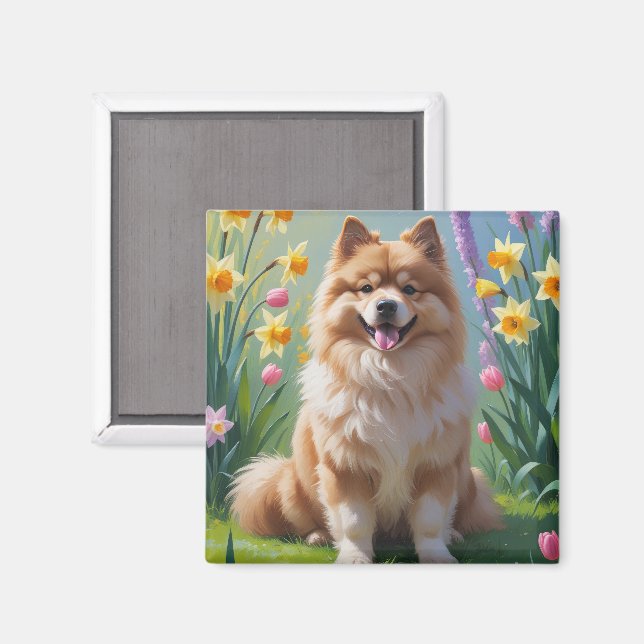 Keeshond Dog Spring Flowers Painting  Magnet (Front/Back)
