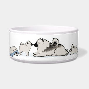 Keeshond Family with Blue Sock