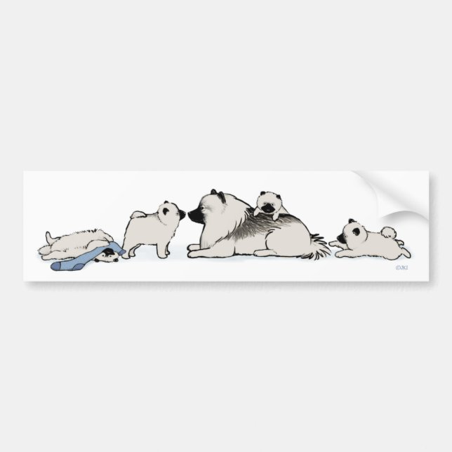 Keeshond Family with Blue Sock Bumper Sticker (Front)