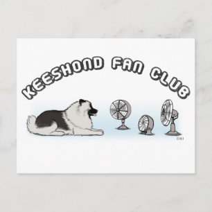 Keeshond Fan Club Postcard