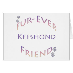 Keeshond Furever