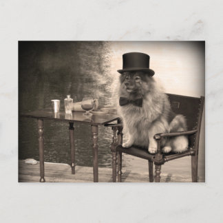 Keeshond Gentleman's Afternoon Postcard