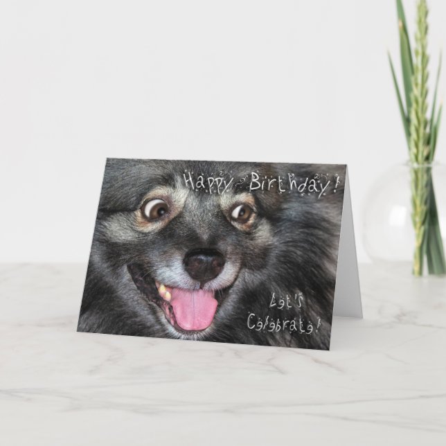 Keeshond Happy Birthday greeting card (Front)
