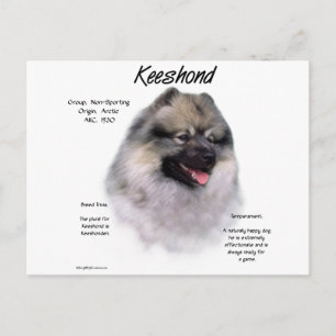 Keeshond History Design Postcard