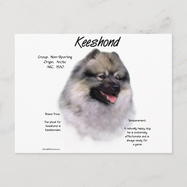 Keeshond History Design Postcard (Front)