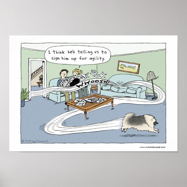 Keeshond "Livingroom Agility" Poster (Front)